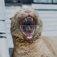 kittenteeth Logo