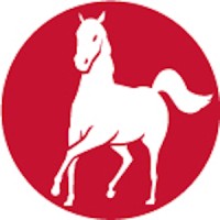 Meaning Centered Counselling Institute Inc. Logo