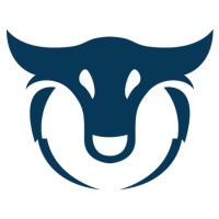 Bullzeri Internet Marketing & Web Development Logo