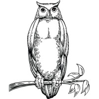 Merk Investments Logo