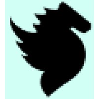 Pegasus Capital LLP Logo