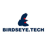 Birdseye Technical Services, Inc. Logo