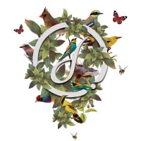 Dream Estamparia Digital Logo