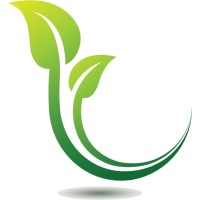 Tim Hunter CPA Logo