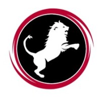 Nemean Solutions, LLC Logo
