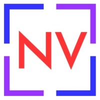 New View Strategies Logo