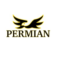 Permian Energy Services Logo
