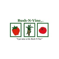 Bush-N-Vine Logo