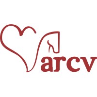 ARCV - Associação de Reabilitação Coração Valente Logo