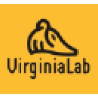 Virginia LAB S.R.L. Logo