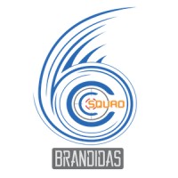 Brandidas Vietnam Logo