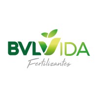 BVL VIDA Logo