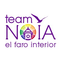 Team-Noia Logo