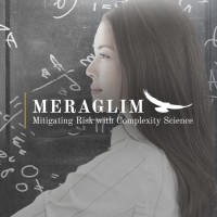 Meraglim Holdings Corporation Logo