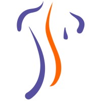 Medical Deep Tissue Logo