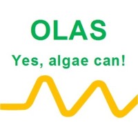 OLAS - All Things Algae, LLC Logo