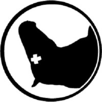 Dead Horse Incorporated Logo