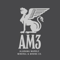 AM3 Stone Logo