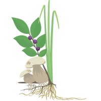 Keefer Ecological Services Ltd. Logo