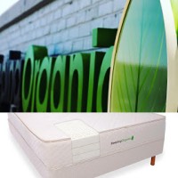 Sleeping Organic Logo