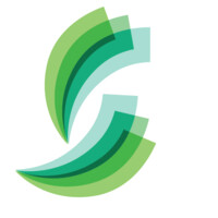 Business Solutions & Financials Logo