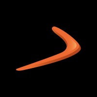 Boomerang DM Logo