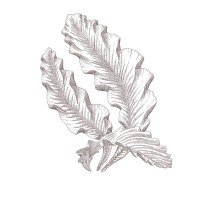 Liceu de Maquiagem Logo