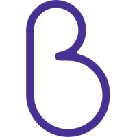 Boomerang Soluções Ambientais Logo