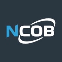 NCOB Sistemas e Consultoria Logo