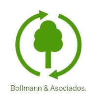 Bollmann&Asociados Logo