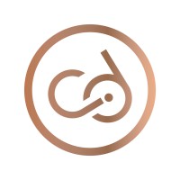 CD Consulting Logo