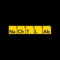 Nachtlab Logo