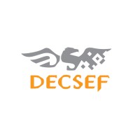 DECSEF SISTEMAS Logo