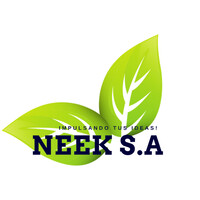Neek´ S.A. Logo
