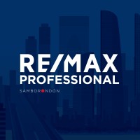 RE/MAX Professional Logo