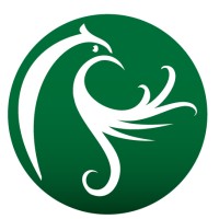 Bold Consulting Logo