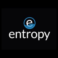 Entropy - Offshore Development Center Logo