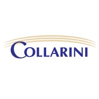Collarini Energy Experts Logo