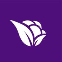 Violetta Cosméticos Logo