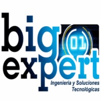 Ingeniería y Soluciones Tecnológicas Bigexpert Cia.Ltda Logo