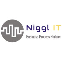 Niggl IT Logo