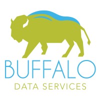 Buffalo Data Services LLC Logo