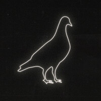 Pigeon Row Logo
