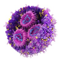 Exelead Logo
