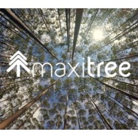 Maxitree Logo