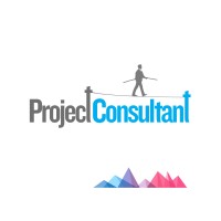 ProjectConsultant Logo