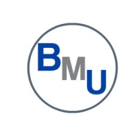 Business Marketing Unleashed Logo