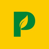 Placas do Brasil S/A Logo