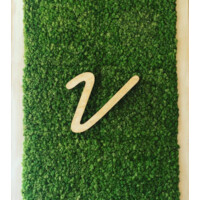 Vinaigrette Salad Kitchen Logo
