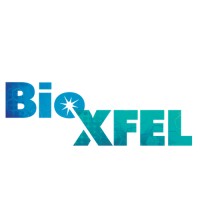 BioXFEL & HWI Former Interns Logo